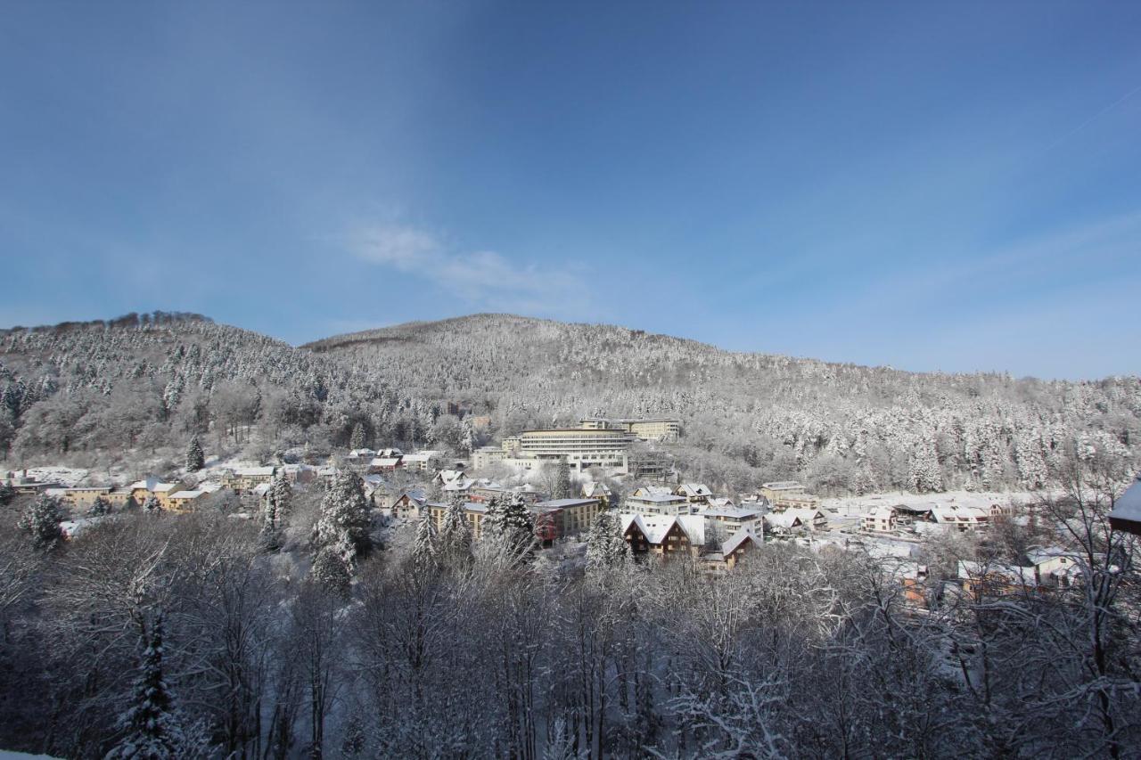 מלון באד הרנאלב Schwarzwald Panorama מראה חיצוני תמונה