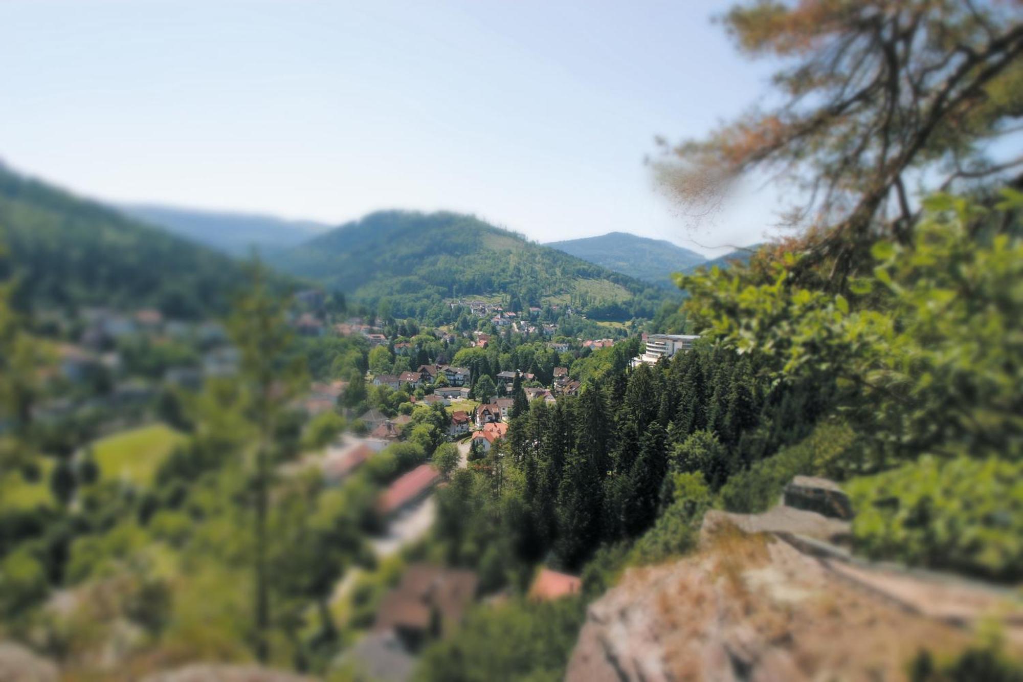מלון באד הרנאלב Schwarzwald Panorama מראה חיצוני תמונה
